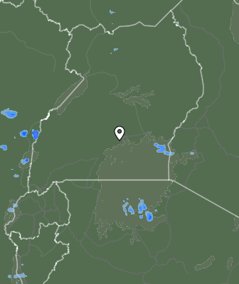 Nedbør