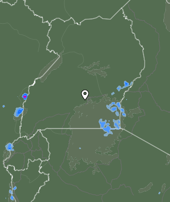 Nedbør