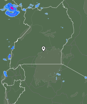 Валежи