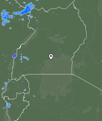 Валежи