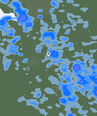 Niederschlagsprognose