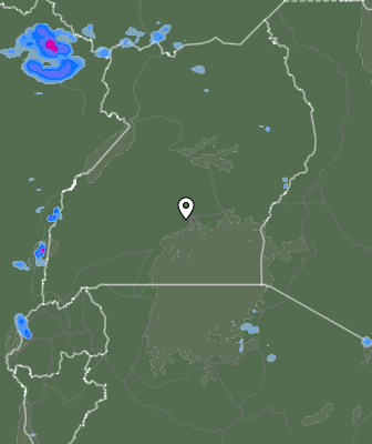Валежи