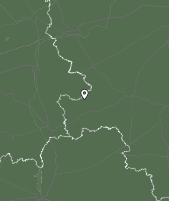 Niederschlagsprognose