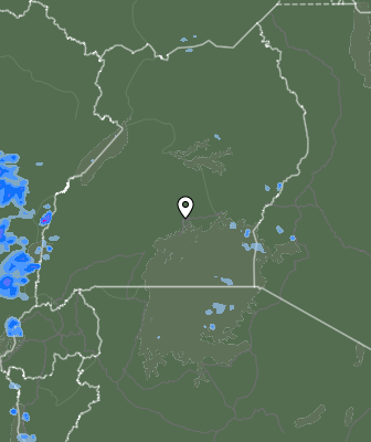 Валежи