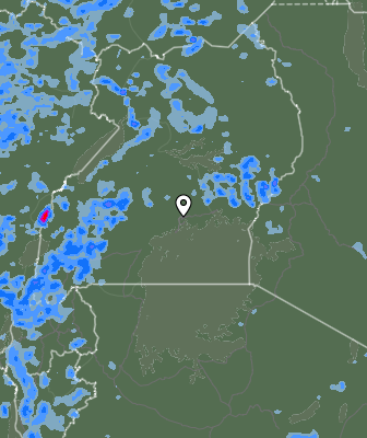 Валежи