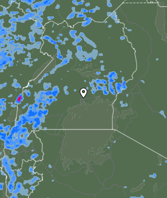 Валежи
