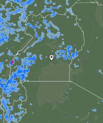 Валежи