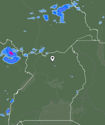 Валежи