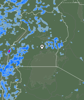 Валежи