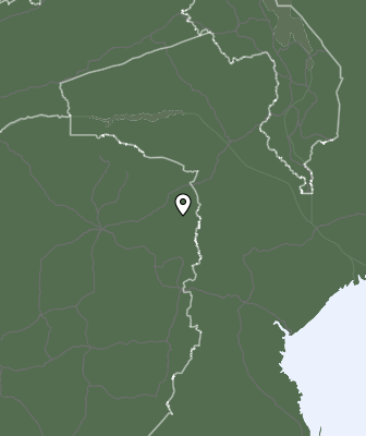 Niederschlagsprognose