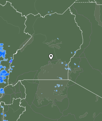 Валежи