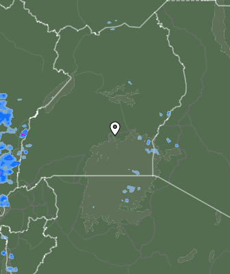 Валежи