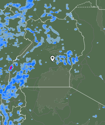 Валежи