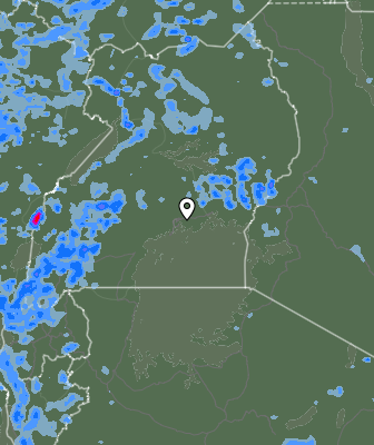 Валежи