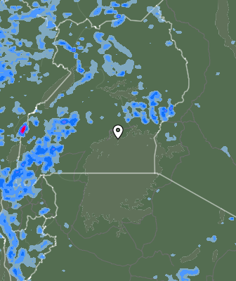 Валежи
