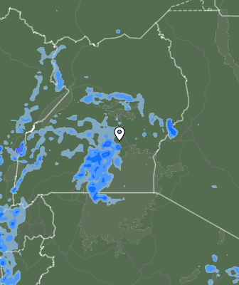 Валежи