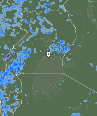 Валежи