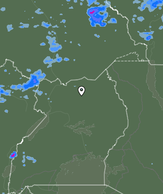 Валежи