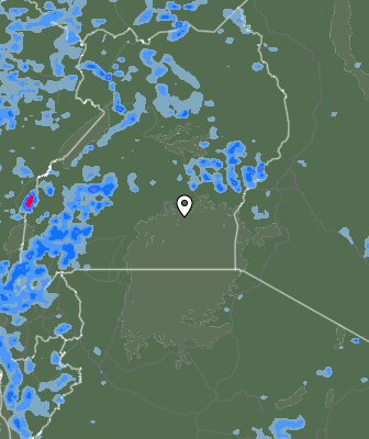 Валежи