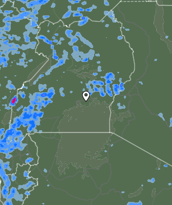 Валежи