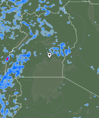 Валежи