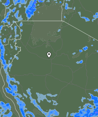 Niederschlagsprognose