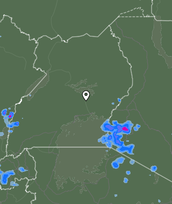 Nedbør
