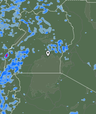 Валежи