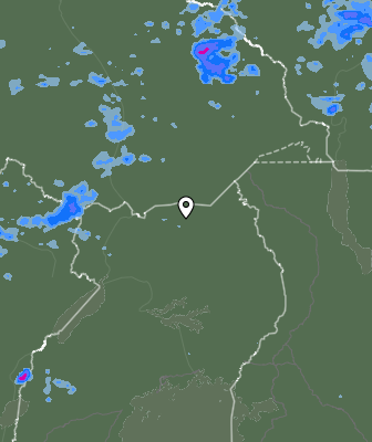 Валежи