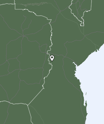 Niederschlagsprognose