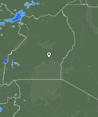 Валежи