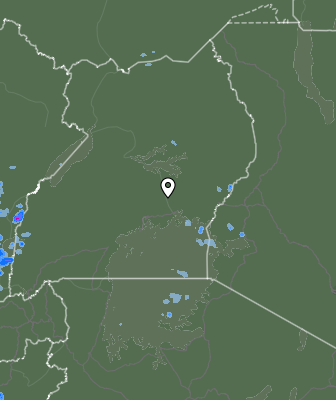 Валежи