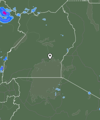 Валежи