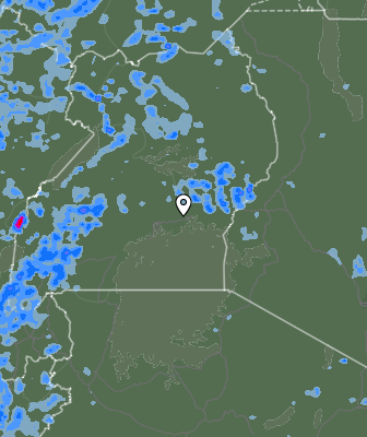Валежи