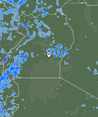 Валежи