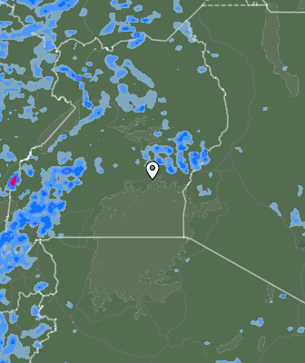 Валежи