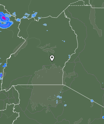 Валежи