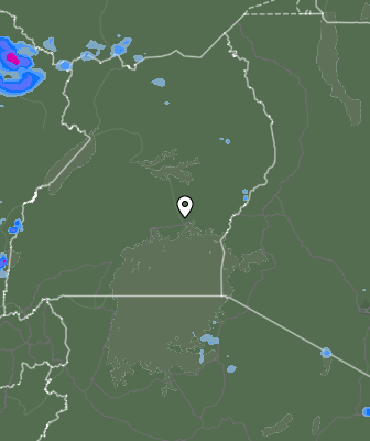Валежи