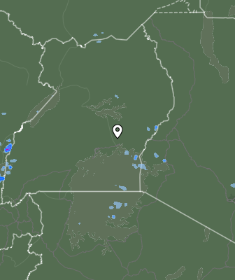 Валежи