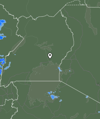 Валежи