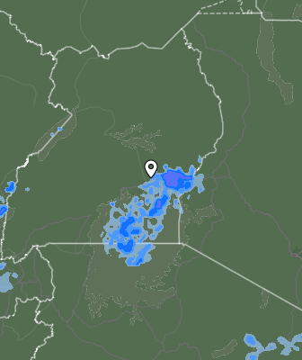 Валежи