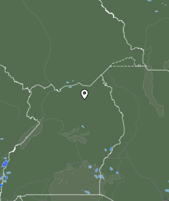 Валежи