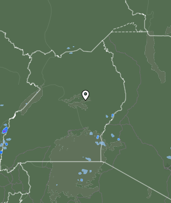 Валежи