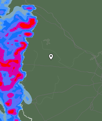 Niederschlagsprognose