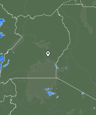 Валежи