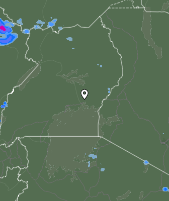 Валежи