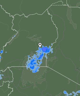 Валежи