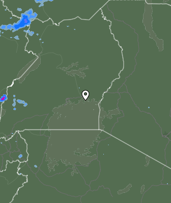 Валежи