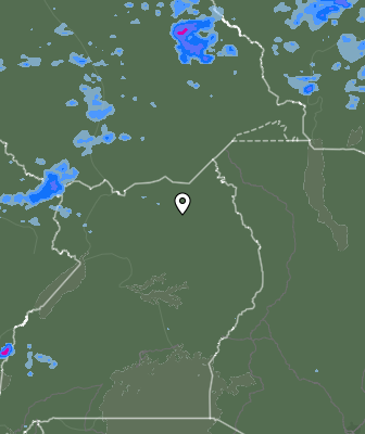 Валежи