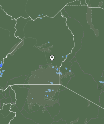 Валежи